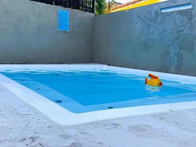 a toy horse in the water in a swimming pool at Haven Villa Retreat Jacuzzi Oasis for 16 in Mata los Indios