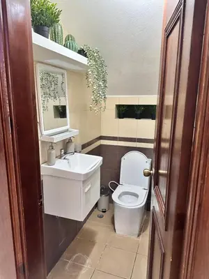 a bathroom with a toilet and a sink and a mirror at Villa Robilu