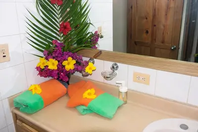 a bathroom sink with two pillows and a vase of flowers at El Pelicano Apart-Hotel in Las Galeras