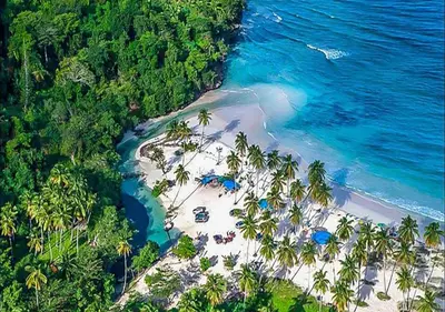 an aerial view of a beach with palm trees and the ocean at El Pelicano Apart-Hotel in Las Galeras