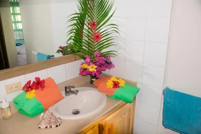 a bathroom sink with towels and flowers on it at El Pelicano Apart-Hotel in Las Galeras