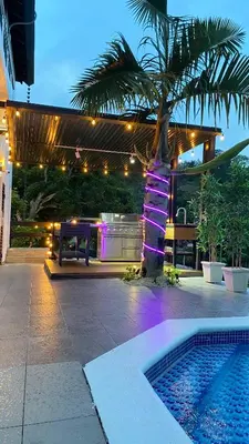 a house with a palm tree and a swimming pool at Villa Ana in Santiago de los Caballeros