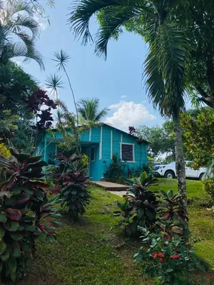 a blue house with a palm tree in front of it at Casa de Campo Vive in Ensanche Savica de Mendoza