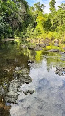a river with rocks and trees in the background at Casa de Campo Vive in Ensanche Savica de Mendoza