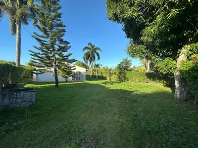a green yard with palm trees and a house at Casa pintada - 4 people, 4 minutes from the beach in Las Galeras