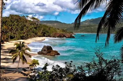 a beach in the philippines with palm trees and the ocean at Bright studio in the heart of Las Galeras in Las Galeras