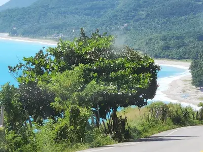 a tree on the side of a road next to a beach at 2 Bdrm, 1 Bath, Wifi, Near River and Beach,4L in Paraíso