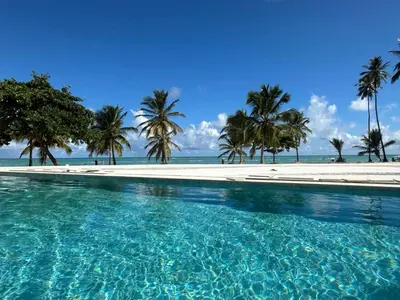 a swimming pool with palm trees and a beach at Alexger Beachfront Apartament Bavaro, Punta Cana in Punta Cana
