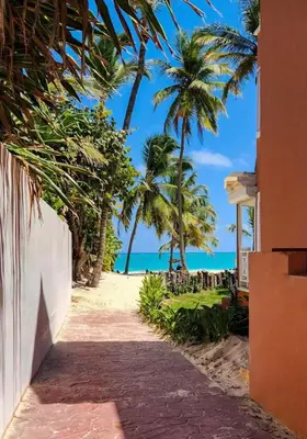 a path to the beach with palm trees and the ocean at Punta Cana Penthouse Private Picuzzi & Beach Access in Punta Cana