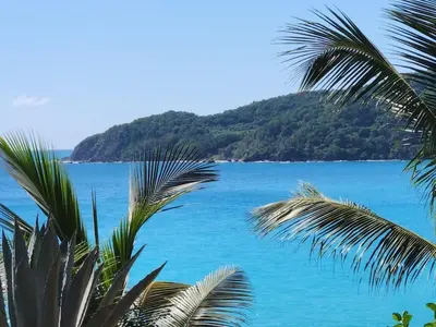 a view of the ocean from a palm tree at 2 Bdrm, 1 Bath, Wifi, Near River and Beach, 3R in Paraíso