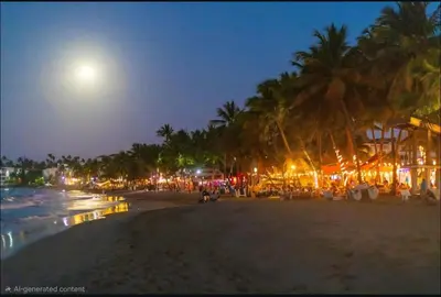 a beach at night with palm trees and a full moon at Ivy Villa Cabarete, fully equipped villa in Cabarete