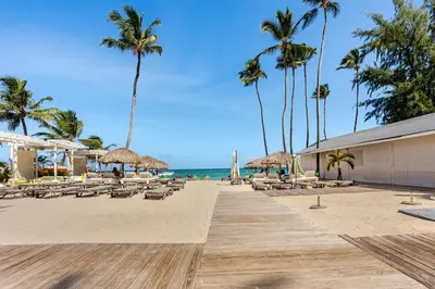 a beach with chairs and umbrellas and palm trees at First Line, Direct Access to Private Beach in Punta Cana