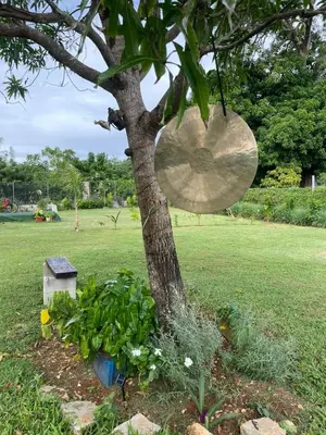 a tree in a field with a sign on it at Dreamvilles Ecovillage in Las Galeras