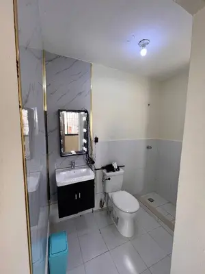 a bathroom with a toilet and a sink and a mirror at Beautiful Quiet shared home in Santo Domingo