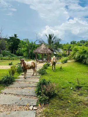 two cows walking down a stone path with a gazebo at Rancho Paraíso Escondido
