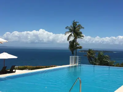 a swimming pool with a palm tree and the ocean at Ballena Bay View in Punta Balandra