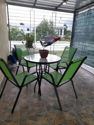 a table with green chairs and a potted plant on it at Cozy Romance Apartment-Couples Only in Santiago de los Caballeros