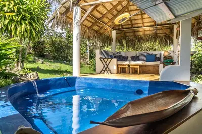 a dolphin statue in a pool in a backyard at Las Mariposas in Las Galeras
