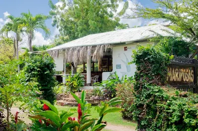 a house with a garden in front of it at Las Mariposas in Las Galeras