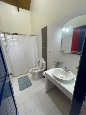a bathroom with a sink and a toilet at cabaña de renta en Jarabacoa in Jarabacoa