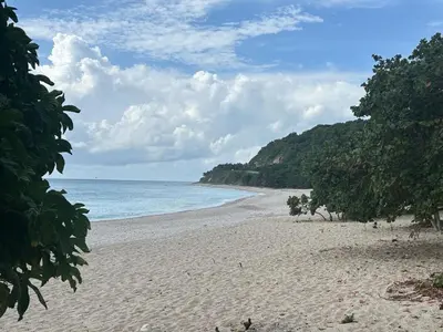 a sandy beach with trees and the ocean at 2 Bdrm, 1 Bath, Wifi, Near River and Beach, 4R, Paraiso, Barahona in Paraíso