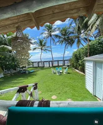 a view of a yard with palm trees and the ocean at franchecis hostal cerca del mar in Juan Dolio