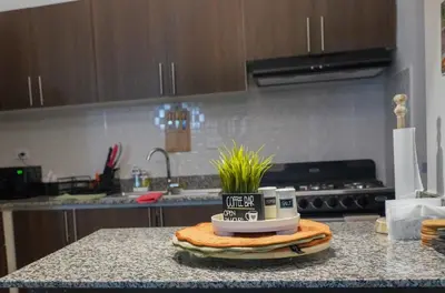 a plant in a pot on a counter in a kitchen at Best Loft In The Heart of Santo Domingo Este in Juan López