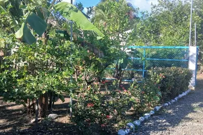 a garden with a bunch of plants and trees at Escape to the countryside peace andnature in Bonao in Bonao