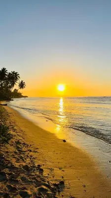 a sunset on a beach with palm trees and the ocean at beach apartment cafe del sol in La Puntica de Juan Dolio