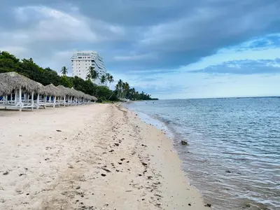 a beach with straw umbrellas and the ocean at beach apartment cafe del sol in La Puntica de Juan Dolio