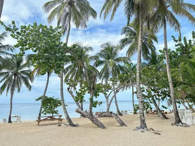 a beach with palm trees and a bench on it at Portillo Residences, El Limon, Luxury Apartment in El Limón