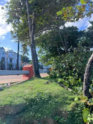 a park with a tree and some grass and trees at Bijoc 01 Apartment in San Felipe de Puerto Plata