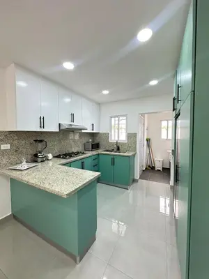 a large kitchen with green cabinets and a counter top at Beach front apartment in Puerto Plata