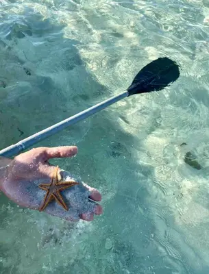 a hand holding a starfish and a paddle in the water at Oz Residence Beach Two-Bedroom Apartment & Free Parking