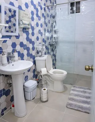 a bathroom with a toilet and a sink and a shower at My Little House in Constanza