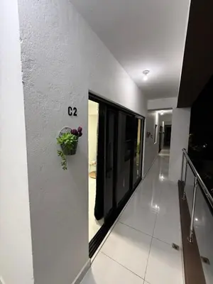 a hallway of a house with a plant on the wall at Moon Apartamento C2 in San Cristóbal
