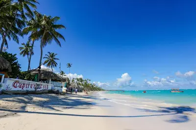 a beach with palm trees and the ocean at Escapada Perfecta Piscina 5 Min a la Playa in Punta Cana