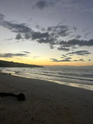 a dog laying on the beach at sunset at Tropical oasis rentas in Las Terrenas