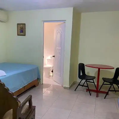 Nido del patio