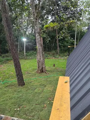 a wooden bench sitting next to a tree at Cabaña Silencio Verde in Jarabacoa