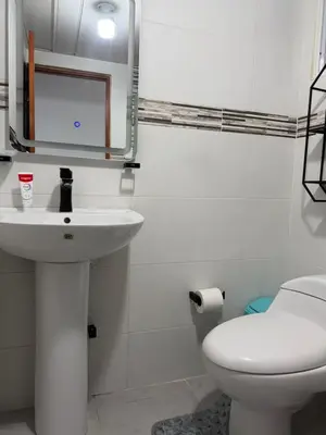 a bathroom with a sink and a toilet and a mirror at Santo domingo Avenida España