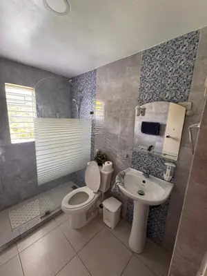 a bathroom with a toilet and a sink at Casa de campo El Bonao in Higuey