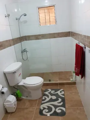 a bathroom with a toilet and a shower and a rug at My house 56 in San Francisco de Macorís