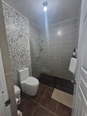 a bathroom with a toilet and a shower at Oceanfront villa with pool, Ocoa bay in Azua