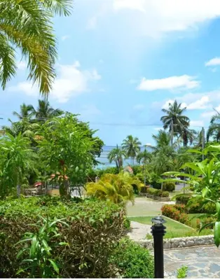 a garden with palm trees and a pathway at Casa Lio in Boca Chica