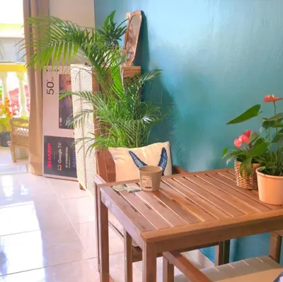 a wooden table in a room with potted plants at Casa Lio in Boca Chica