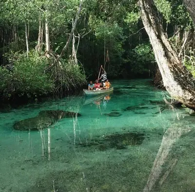 a group of people in a boat in a river at Comfortable stay for 4 people in Las Galeras