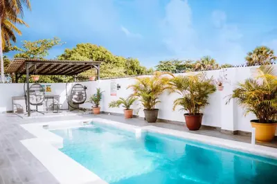 a swimming pool with potted plants next to a white wall at SwellHouseVilla in Cabrera
