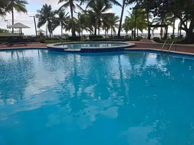a large blue swimming pool with palm trees in the background at Apartment facing the Caribbean Sea, Juan Dolio Beach in Juan Dolio