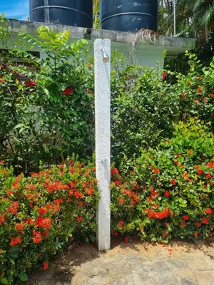 a pole in the middle of a bunch of flowers at Sunset Paradise in Las Terrenas